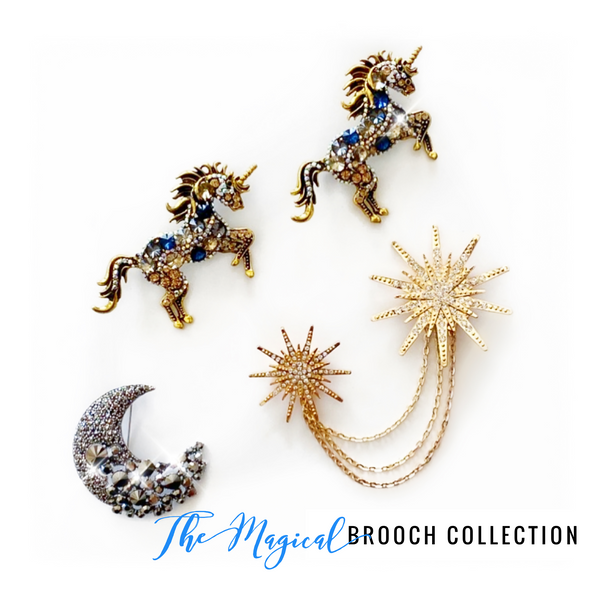 The Magical Brooch