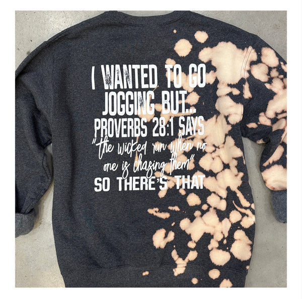 Proverbs 28 Sweatshirt